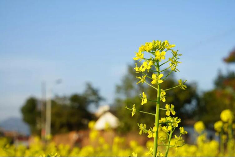 春季該如何預(yù)防控制高血壓？