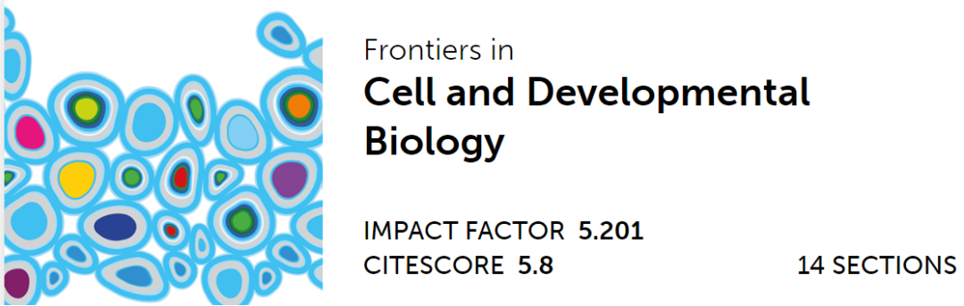 心臟病醫(yī)院王海昌院長科研團(tuán)隊(duì)在心肌病研究領(lǐng)域有新突破！