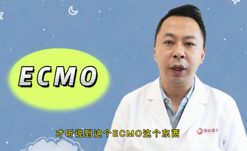 什么是ECMO？