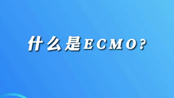 【名醫(yī)面對面之心臟100問】什么是ECMO？