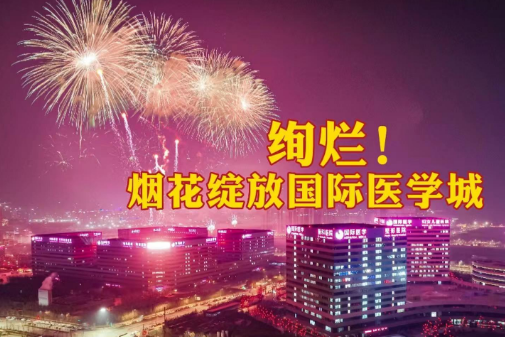 絢爛！煙花綻放國際醫(yī)學(xué)城